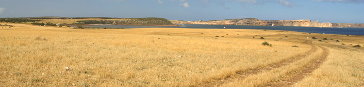 Flinders Island